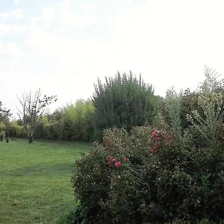 Maison Individ. Au Calme, 1,5 Km Plage, Grd Terrain Arbore, Proche Commerces, 1 Ch., Tv Cable, Animaux Ok. - Fr-1-22-238 Prázdninový dům *